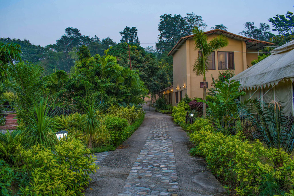 Corbett Tigers N Trees Resort